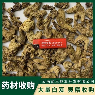 中药材白及片 白芨个收购 一公斤70-100 量大价优